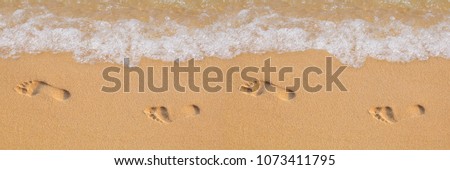 Texture background Footprints of human feet on the sand near the water on the beach Royalty-Free Stock Photo #1073411795