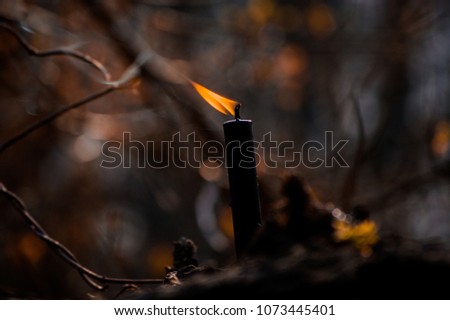 Burning black candle in the spring forest