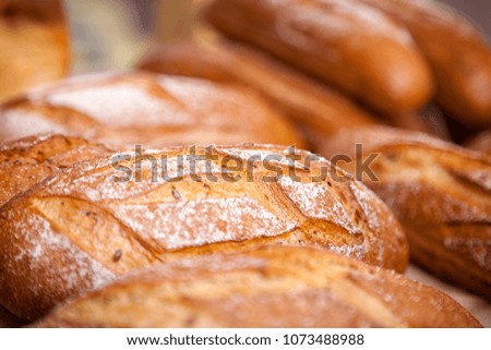Close-up of fresh white bread in buns in a bakery, fresh loaves