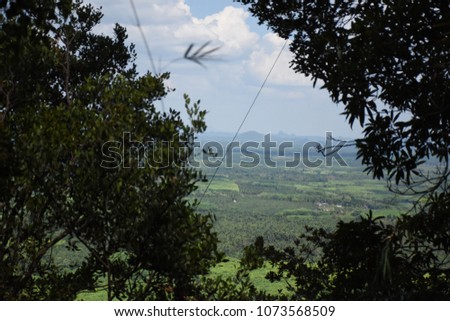 Many forest trees and clouds in blue sky background, beautiful view when look the highest of stairs. 