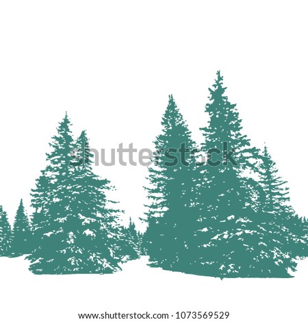 Fir-tree silhouettes forest vector background
