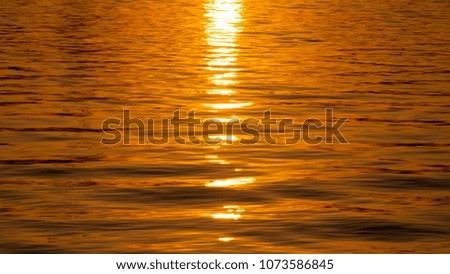 Sunset. A golden sunny path on the water