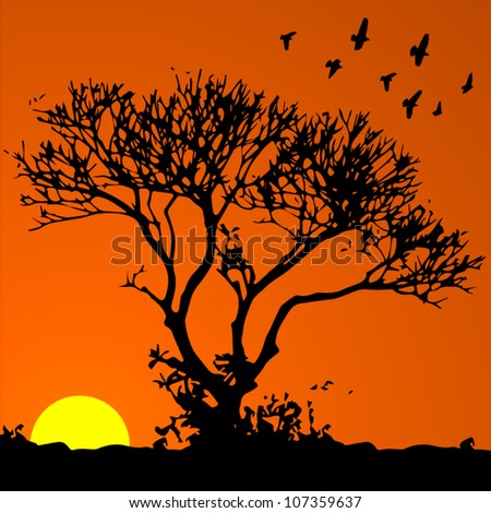 Vector background: african sunset