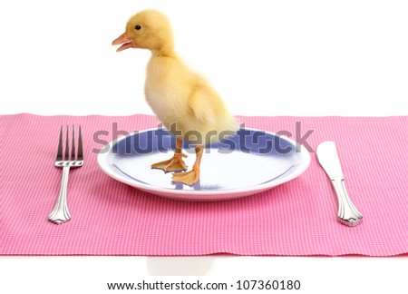 Duckling and table setting isolated on white