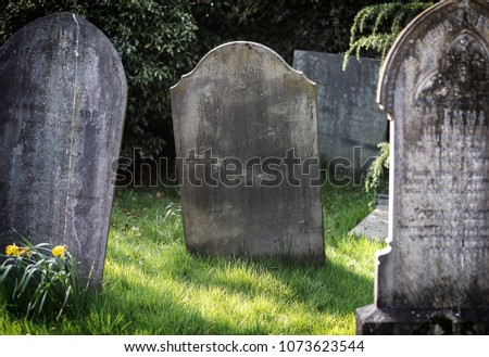 Blank gravestone in graveyard. Old, decayed and grunge, ready for text. Trees and bushes in background. Royalty-Free Stock Photo #1073623544