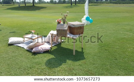 Picture of a picnic  on mat with foods, drink, andShot at green meadow
