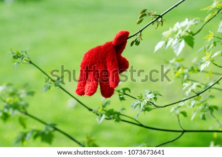Red glove on the green tree with first leaves in early spring