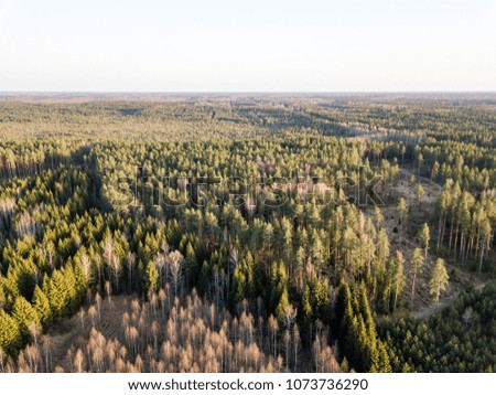 drone image. aerial view of rural area with swamps, lakes and forests in sunny spring day. Latvia