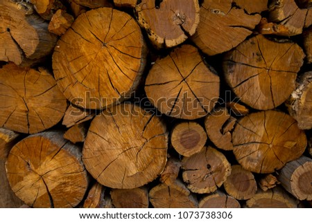 Material for heating the house  . Preparation of stacks firewood for the winter season . Natural wooden background , group of wood logs.