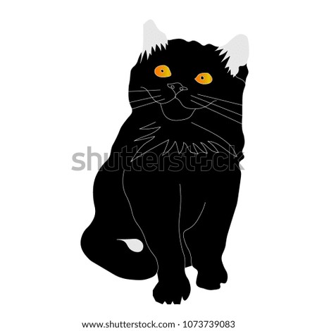 Black kitten with yellow eyes, vector