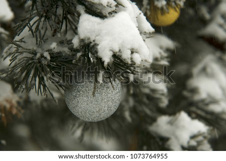 Christmas outdoor scenery with fir twigs and balls with snow at the background. Shining Xmas baubles during the snowfall. 