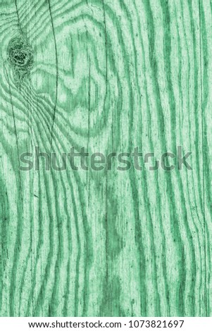 Old Green Stained And Varnished Pine Wood Plank Cracked Flaky Grunge Texture Detail