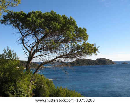 IMAGES of a WINTER EXCURSION OF CAPE TAILLAT TO the BEACH OF ROUBINE, GULF OF ST TROPEZ, VAR FRANCE Royalty-Free Stock Photo #10738288