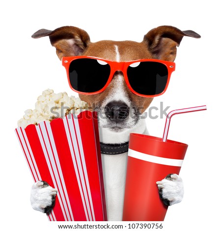 dog watching a movie Royalty-Free Stock Photo #107390756