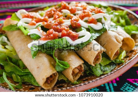 flautas de pollo, chicken tacos and spicy Salsa Homemade Mexican food in mexico city
 Royalty-Free Stock Photo #1073910020