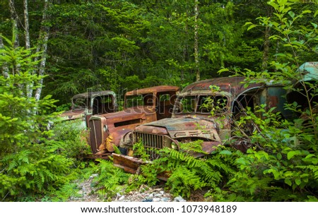 Old rusting trucks at Jawbone flat in the Opal Creek Ancient Forest.  The trucks were used in an old mining operation.