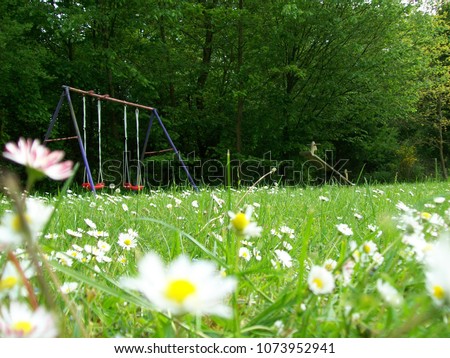 Low angle view of a swing set  and wooden seesaw at a children’s playground surrounded by a fresh green meadow with daisy flowers and a lush green forest scenery in Germany in the summertime
