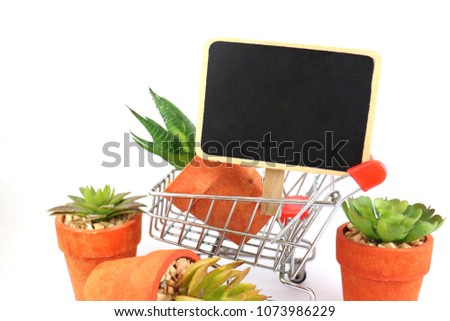 economy , business about nature and cactus , shopping online and cart supermaket on white background