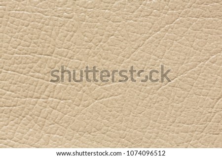 Masterly leather background in perfective light colour. High resolution photo.