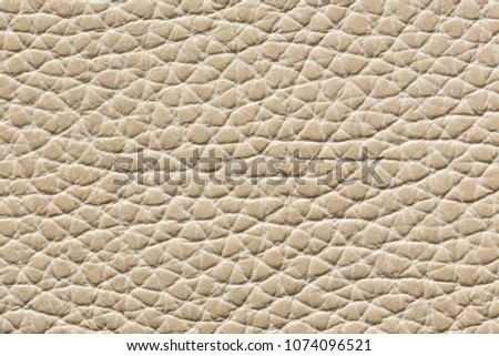 Light leather texture with relief surface. High resolution photo.