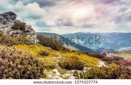 Awesome Mountain valley during sunrise with overcast sky. Beautiful natural landscape in the summer time. Wonderful picture of wild area. Natural background. instagram filter. Postcard