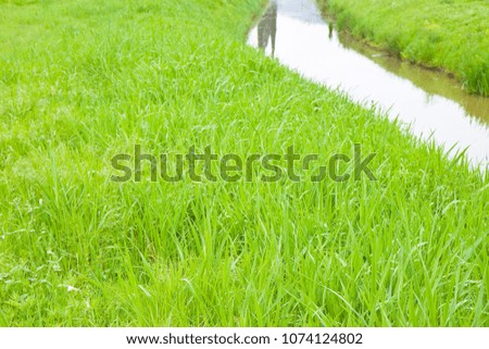 Rural landscape with ditch, green grass and water - image with copy space