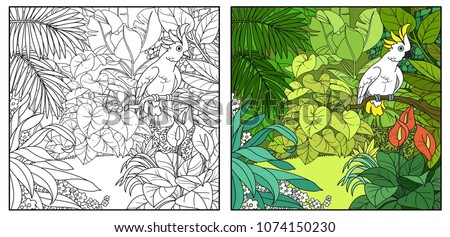 Wild jungle with cockatoo parrot perched on branch color and black contour line drawing for coloring on a white background