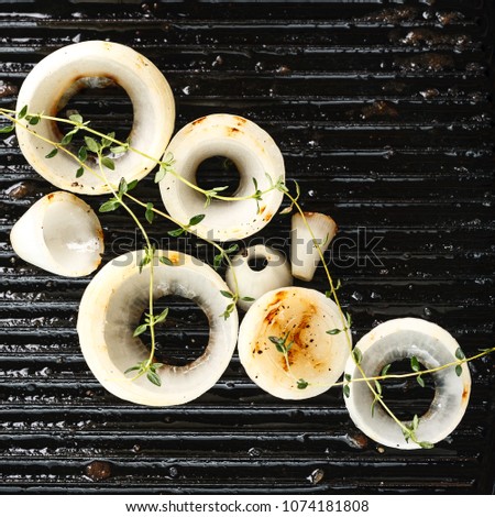 Onion on the grill with spices and herbs. Copyspace. Top view