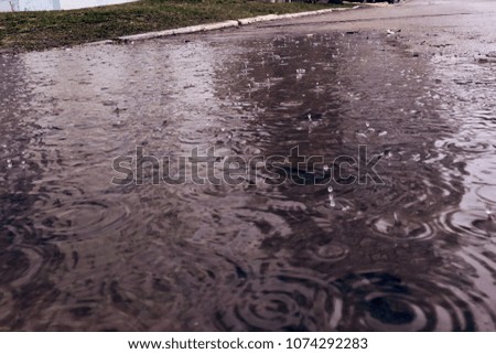 Raindrops fall in a puddle on the road