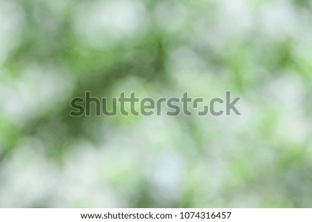 Green soft background in foliage and grass. Blooming garden.
