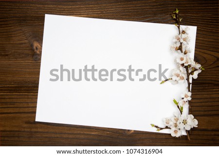 Flowering branch of apricot on rustic wooden background. Macro, selective focus, copy space