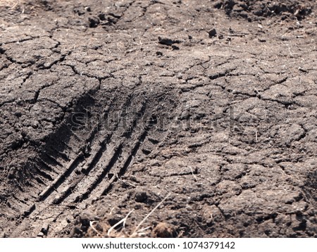 traces of car tires on the surface of the desert