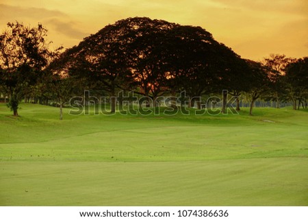 Golf course / country club. Showing the fairway during sunset.