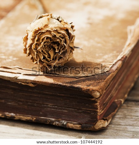 picture of a dried rose lying on an antique book