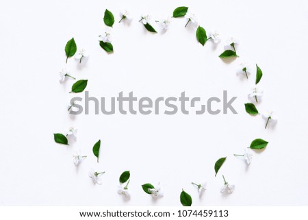 White backgroung with white flowers and green leaves