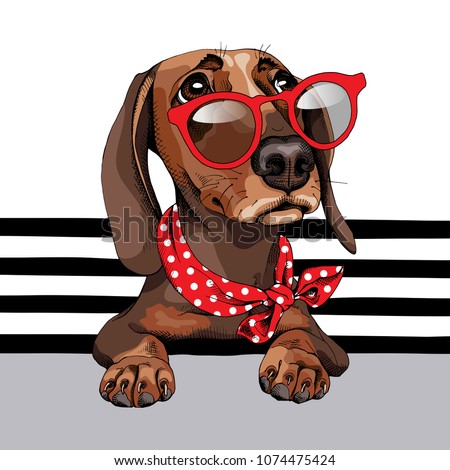 Dachshund Dog in a red sunglasses and with a polka dots neck scarf on a striped background. Vector illustration.