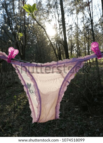 Panties being dry under the sun in summer forest 