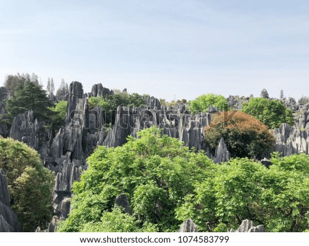 A limestone formation named "A-Shi-Ma" at Kunming Stone forest or Shilin, a UNESCO World Heritage Sites, Yunnan China.