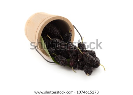 Mulberry fruit, Mulberry isolated on white background.
