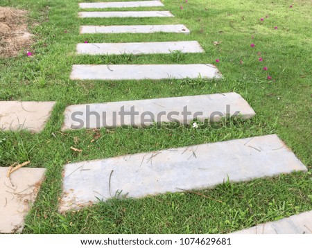 Cement block on grass floor texture