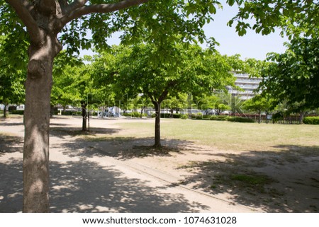 Iwanakata Park in the early summer where fresh green trees are beautiful