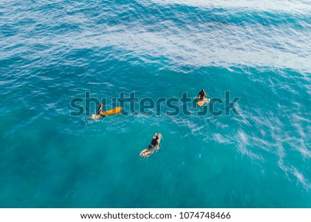 Three Surfers in the ocean, top view