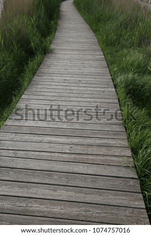Wooden pathway in a natural wet meadow with high green grass on each side. Pattern of planks among wild herbs and plants. Leading walkway in a french park. Symbolic image of environment protection.
