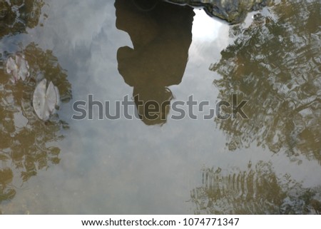 shadow of woman in water background