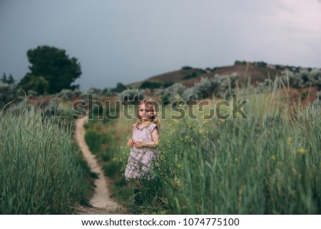 toddler girl in a purple dress standing in a field of wild flowers with a dramatic dark sky in the background