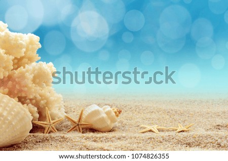 The view on sandy beach with coral, seashell and starfish. Summer beach concept.