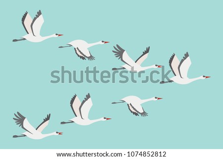 Flock of cranes in flying. Vector flat illustration of bird migration isolated on blue background.