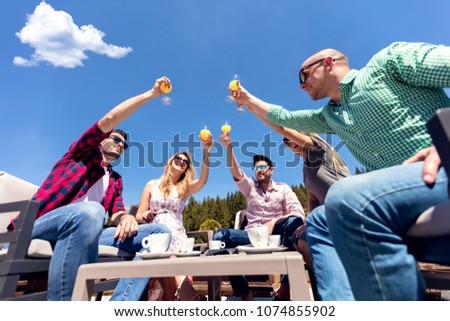 Group of friends toasting their juice glasses near pool
