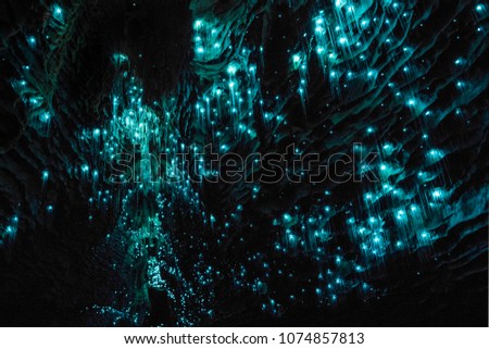 Waitomo Glowworm Caves, Waikato, New Zealand  Royalty-Free Stock Photo #1074857813