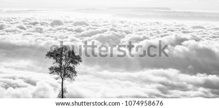 Black and white clouds and a tree